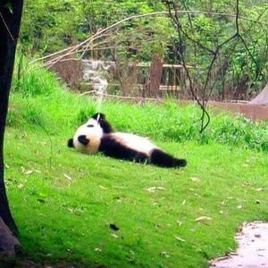 Meet your Posher, Will